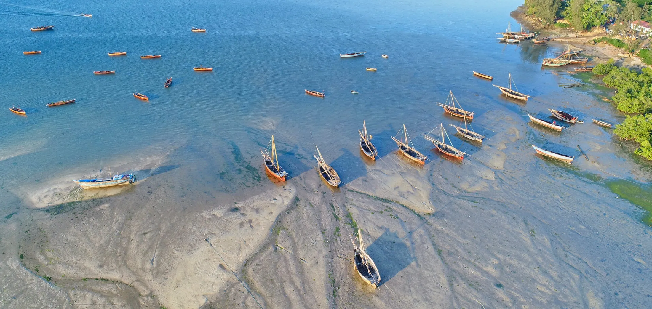 Aerial view of wooden dhows resting on the sand flats at low tide beside a green coastline in Zanzibar